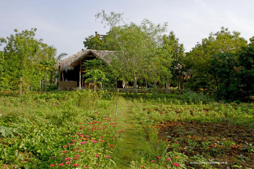 Hotel The Yala Adventure Tissamaharama Exterior foto