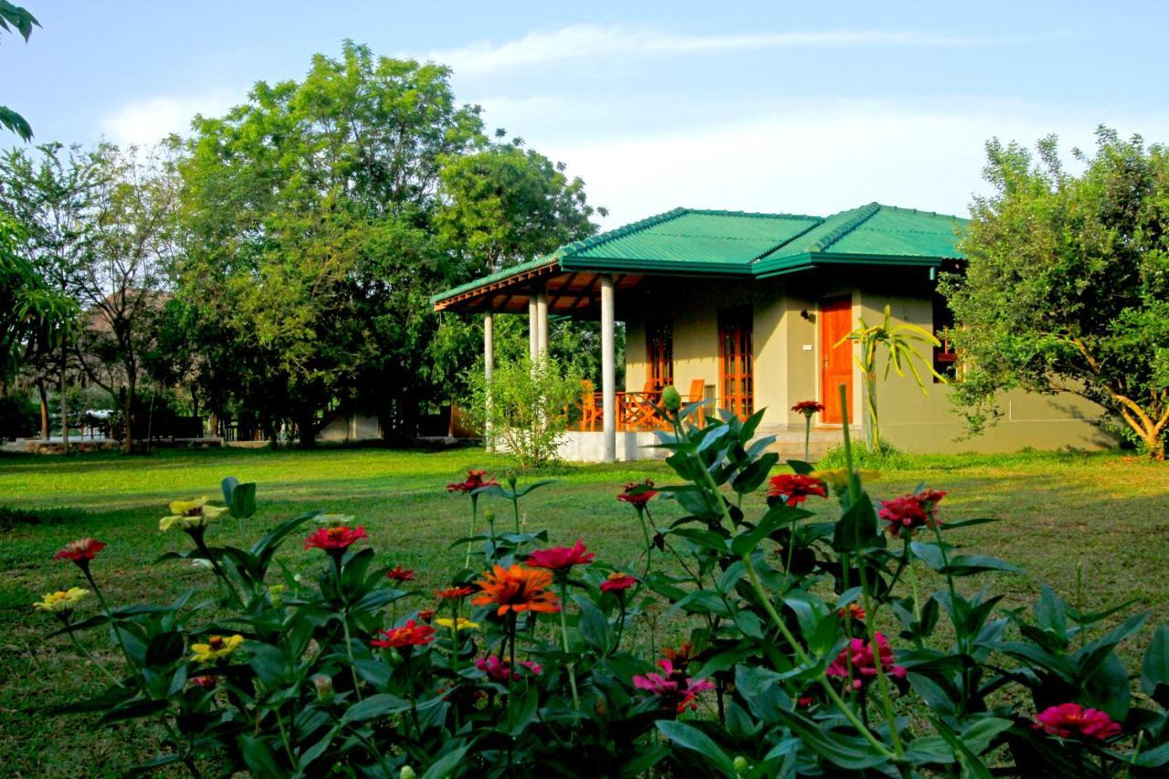 Hotel The Yala Adventure Tissamaharama Exterior foto